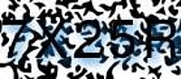 grafischer Sicherheitscode