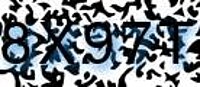 grafischer Sicherheitscode